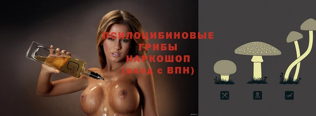 марихуана Баксан