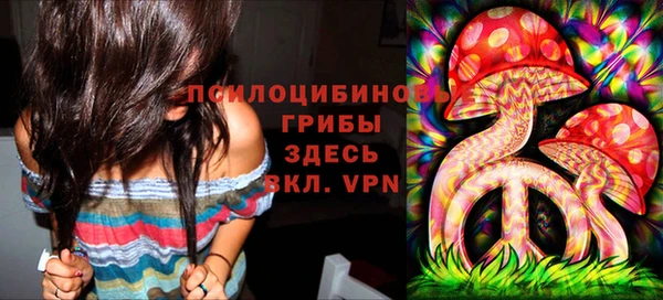 меф Медвежьегорск